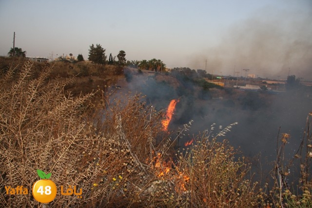 fireina7rashyaffa505 (22).JPG